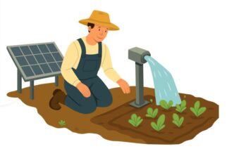 Image of a farmer seated in a field beside a solar panel, a water pump and plants.